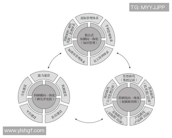 创新体育课程设计探索与实践促进学生全面发展的路径研究