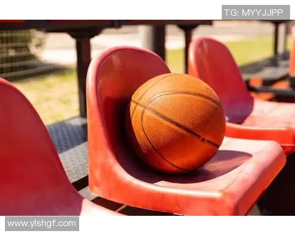 探索休闲体育器材的多样选择与健康生活方式的完美结合